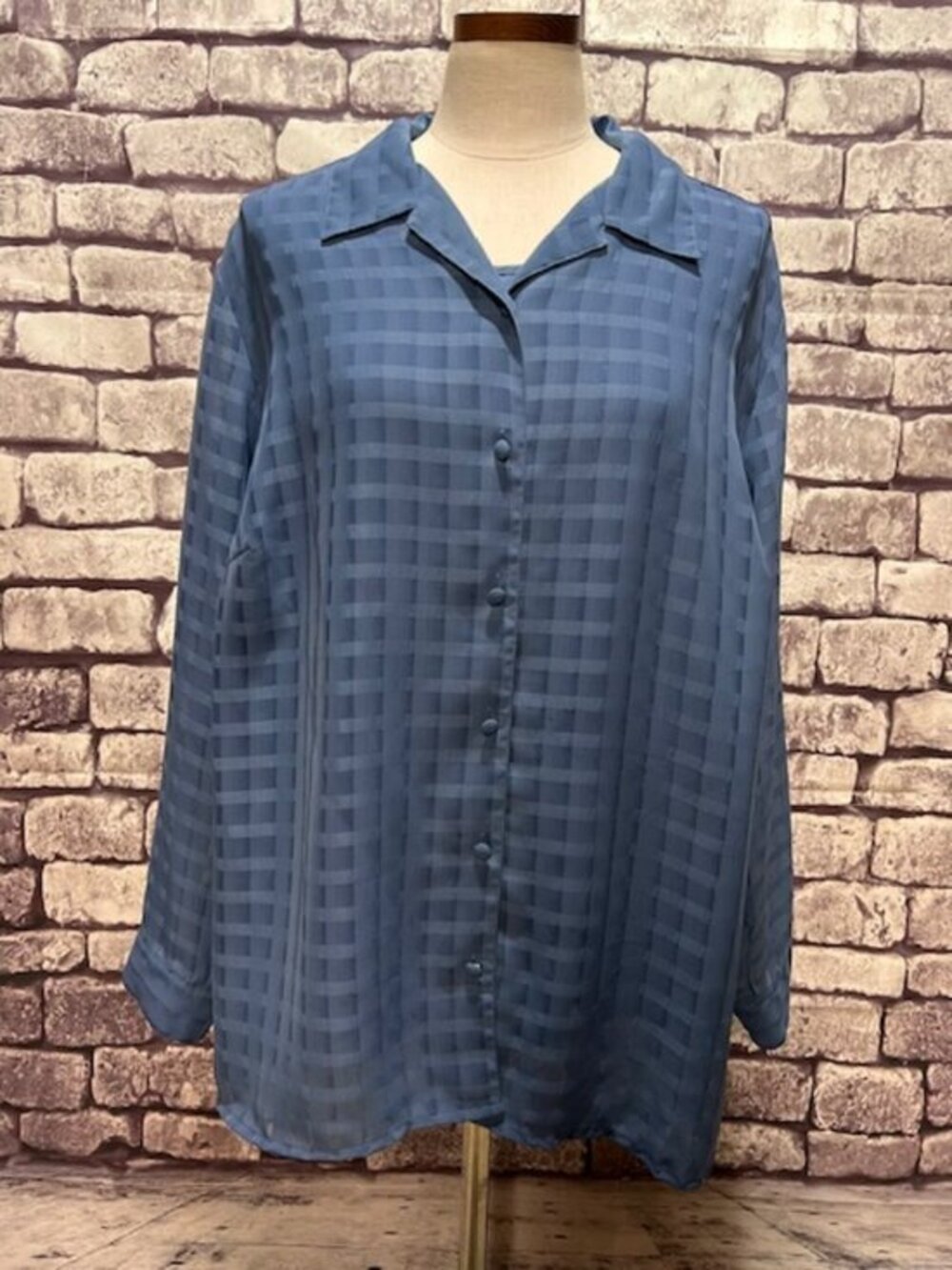 Maggie Barnes Blue Blouse & Tank Set Size 24